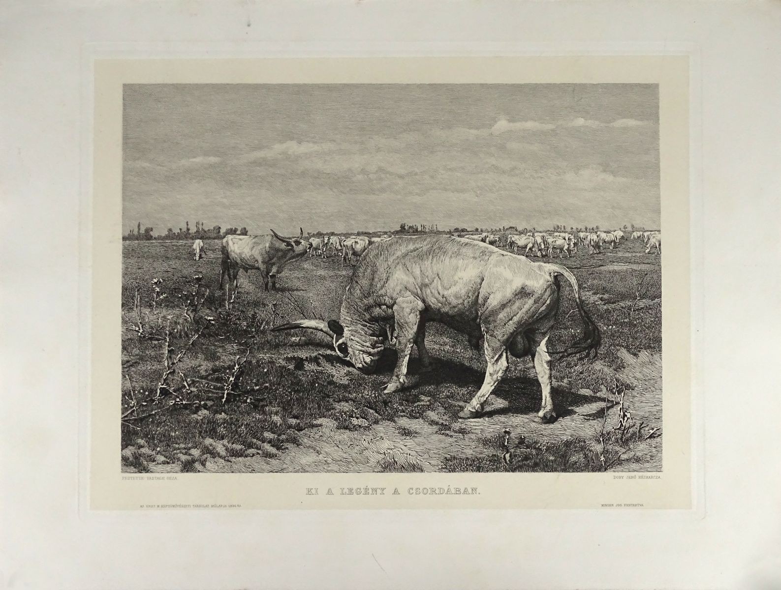 1I886 Doby Jenő rézkarc Vastagh Géza Ki a legény a csordában
