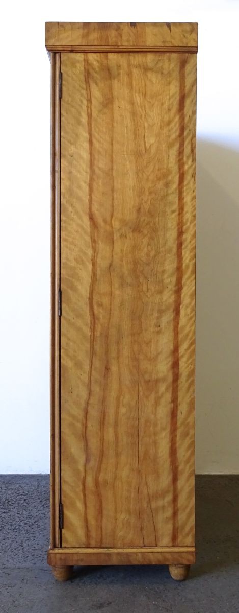 DSC00569.JPG (469×1200)