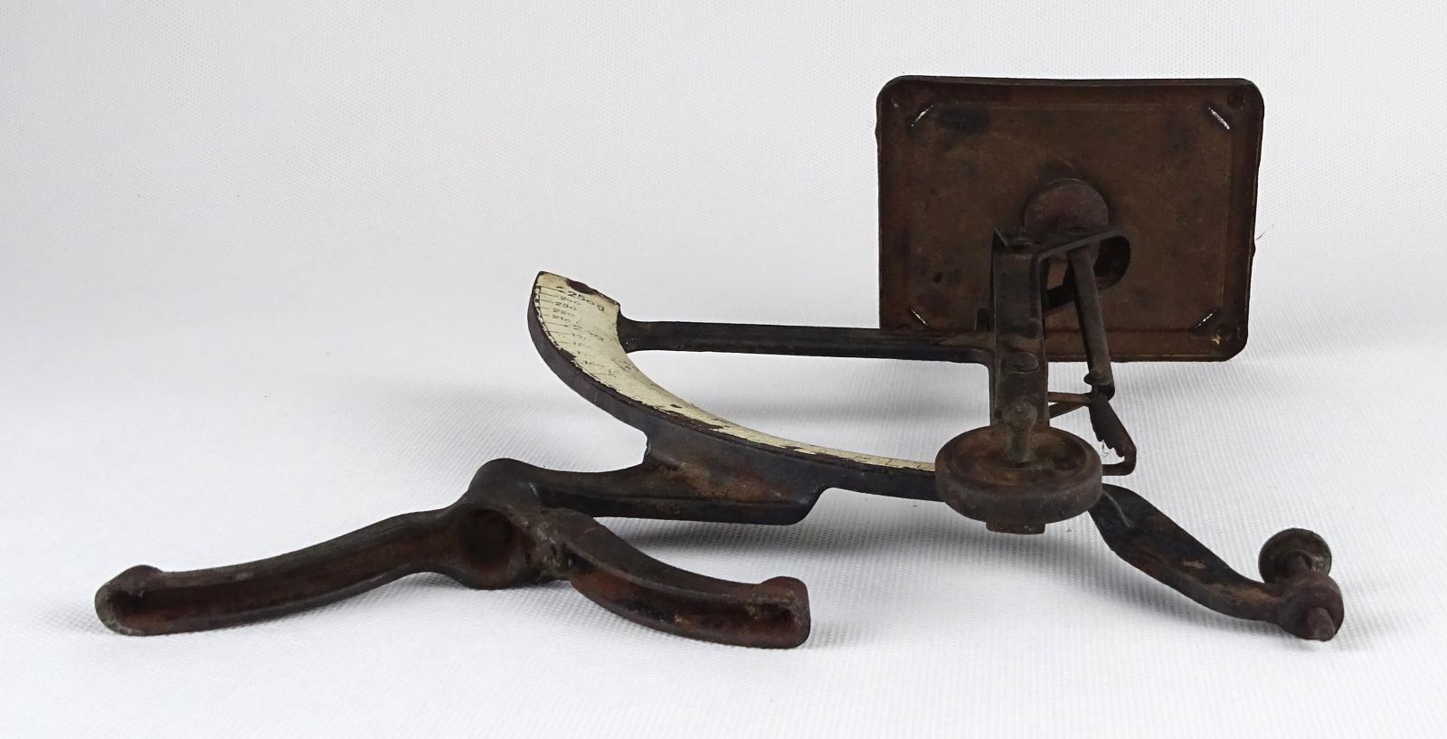 DSC03804.JPG (1600×817)